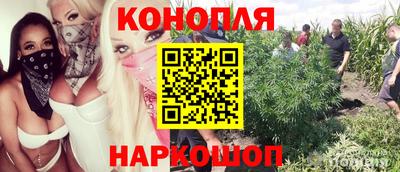 соль курить ск Сланцы