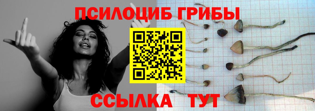 Псилоцибиновые грибы MAGIC MUSHROOMS Лыткарино